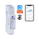Single-phase WiFi Energy Meter 230V 63A 